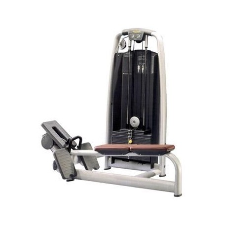 Technogym - Selection Pulley Machine de musculation