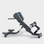 BANC LOMBAIRES TECHNOGYM PURE STRENGTH OCCASION