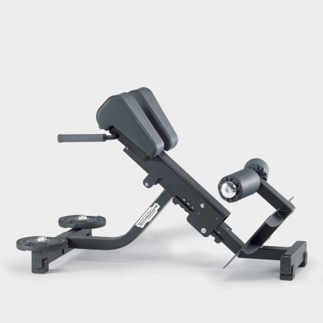 BANC LOMBAIRES TECHNOGYM PURE STRENGTH OCCASION