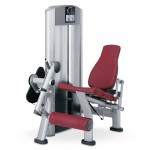 LEG EXTENSION LIFE FITNESS SIGNATURE OCCASION RECONDITIONNEE GARANTIE 2 ANS