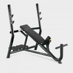BANC OLYMPIQUE INCLINE TECHNOGYM ELEMENT OCCASION