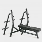 BANC OLYMPIQUE HORIZONTAL TECHNOGYM ELEMENT OCCASION