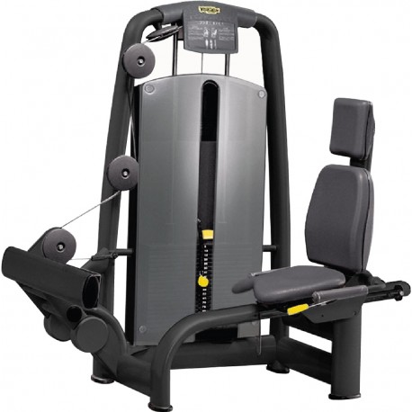 ROTARY CALF TECHNOGYM SELECTION OCCASION 
