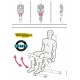 UTILISATION LEG CURL / LEG EXTENSION TECHNOGYM EASY LINE OCCASIO