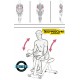 MUSCLES SOLLICITÉS BICEPS TRICEPS TECHNOGYM EASY LINE OCCASION