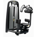 ABDOS OBLIQUES / ROTARY TORSO TECHNOGYM SELECTION OCCASION RECONDITIONNÉE GARANTIE 2 ANS