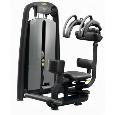ABDOS OBLIQUES / ROTARY TORSO TECHNOGYM SELECTION OCCASION RECONDITIONNÉE GARANTIE 2 ANS