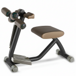 COMBINÉ BICEPS TRICEPS TECHNOGYM EASY LINE OCCASION RECONDITIONNÉE GARANTIE 2 ANS