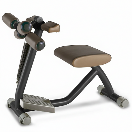 COMBINÉ BICEPS TRICEPS TECHNOGYM EASY LINE OCCASION RECONDITIONNÉE GARANTIE 2 ANS