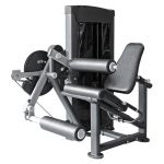LEG EXTENSION / LEG CURL ASSIS PROFESSIONNEL MODÈLE NEUF